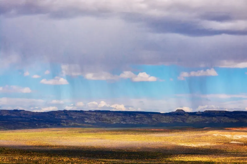 Arizona's Shifting Palette: How Brands Harness Seasonal Light to Build Visual Identity