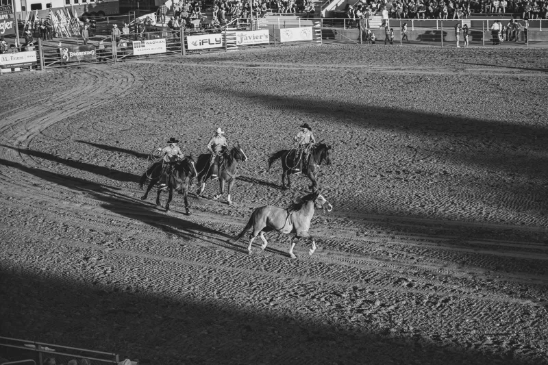 Hooves, Heritage, and High Desert: The Demanding Art of Professional Equestrian Photography in Arizona